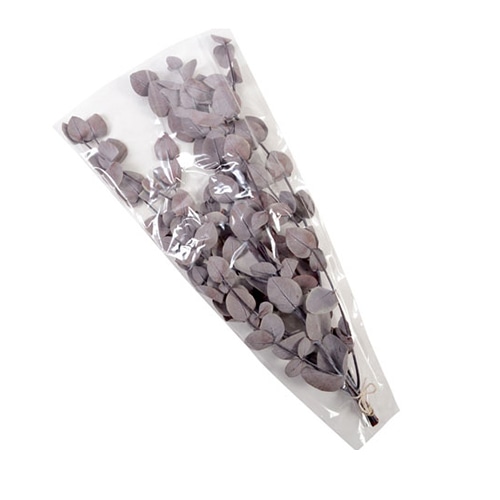 フロールエバー プリザーブドグリーン　ユーカリ　丸葉 レッド FL7091-830 1束（ご注文単位1束）【直送品】