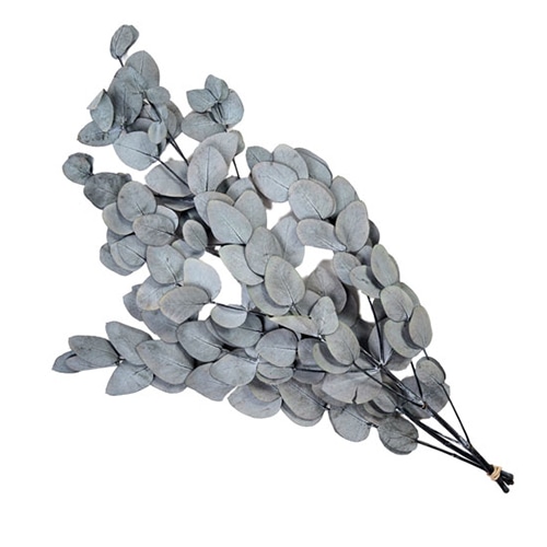 フロールエバー プリザーブドグリーン ユーカリ 丸葉 グレイ FL7091-840 1束(ご注文単位1束)【直送品】