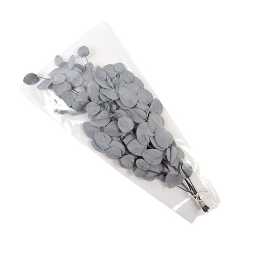 フロールエバー プリザーブドグリーン ユーカリ 丸葉 グレイ FL7091-840 1束(ご注文単位1束)【直送品】