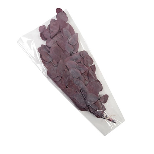 フロールエバー プリザーブドグリーン ユーカリ 丸葉 ワイン FL7091-850 1束(ご注文単位1束)【直送品】