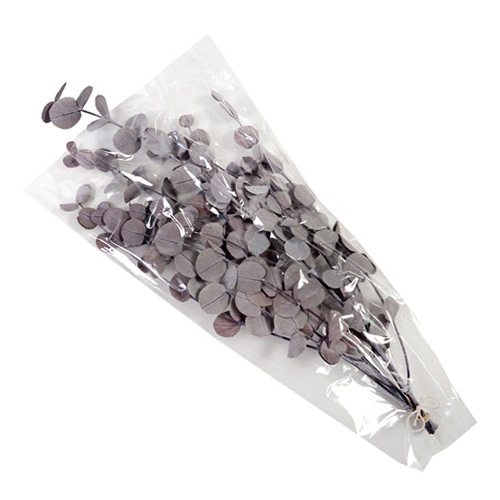 フロールエバー プリザーブドグリーン ユーカリベイビー レッド FL7101-830 1束(ご注文単位1束)【直送品】