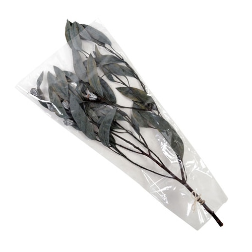 フロールエバー プリザーブドグリーン ユーカリ 実付 グリーン FL7111-800 1束(ご注文単位1束)【直送品】