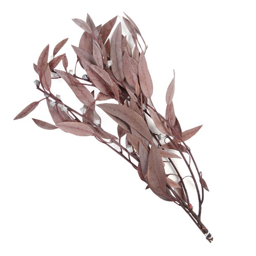 フロールエバー プリザーブドグリーン　ユーカリ　実付 レッド FL7111-830 1束（ご注文単位1束）【直送品】