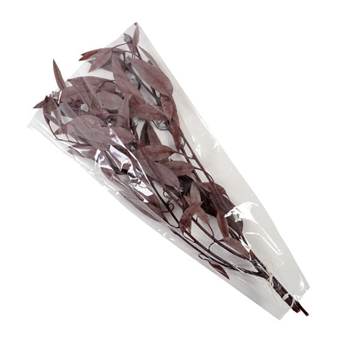 フロールエバー プリザーブドグリーン ユーカリ 実付 レッド FL7111-830 1束(ご注文単位1束)【直送品】