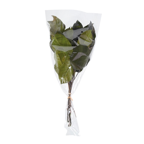 フロールエバー ブリザーブドグリーン　レモンリーフ グリーン FL876-800 1束（ご注文単位1束）【直送品】