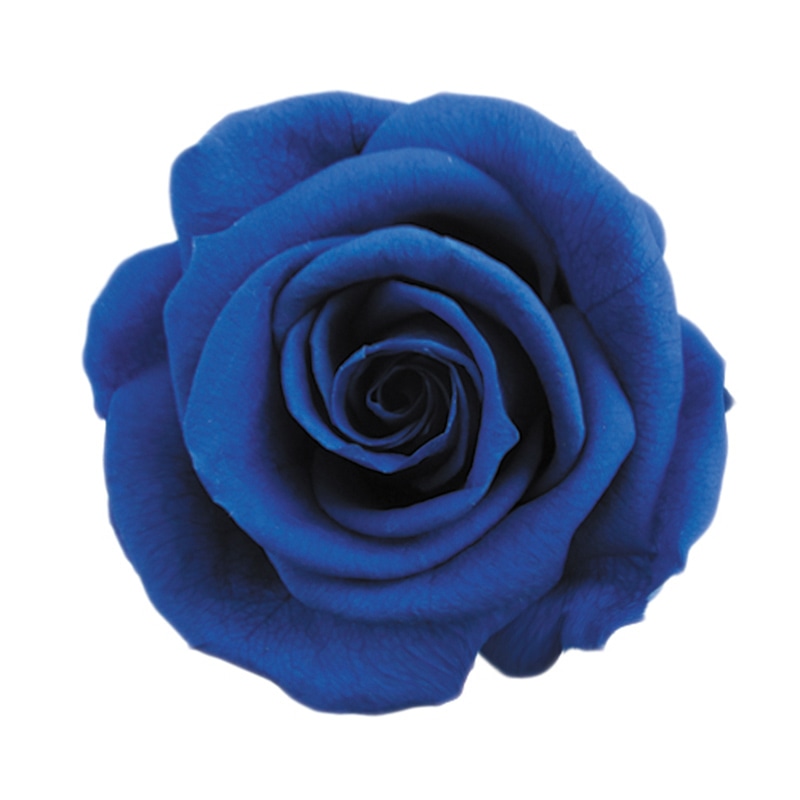 フロールエバー プリザーブドフラワー　スタンダードローズ　ステム付 グランブルー FL012-12 1本（ご注文単位1本）【直送品】