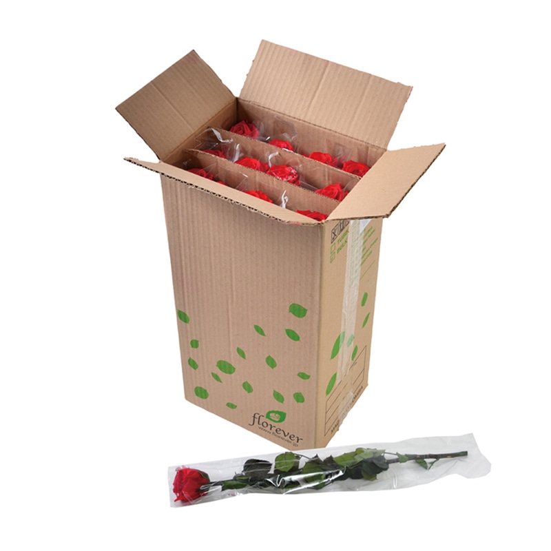 フロールエバー プリザーブドフラワー　スタンダードローズ　ステム付 スリーブ入り　チェリーレッド FL013-05 12本/箱（ご注文単位1箱）【直送品】