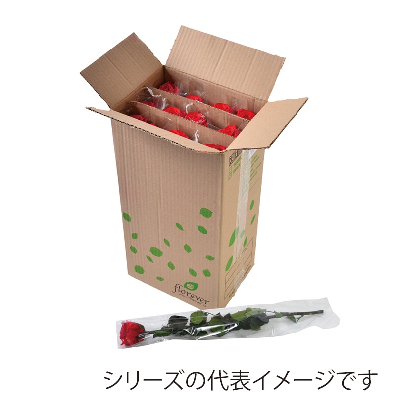 フロールエバー プリザーブドフラワー　スタンダードローズ　ステム付 スリーブ入り　ベイビーピンク FL013-07 12本/箱（ご注文単位1箱）【直送品】