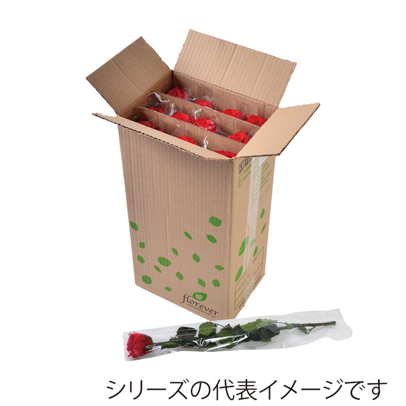 フロールエバー プリザーブドフラワー　スタンダードローズ　ステム付 スリーブ入り　グランブルー FL013-12 12本/箱（ご注文単位1箱）【直送品】