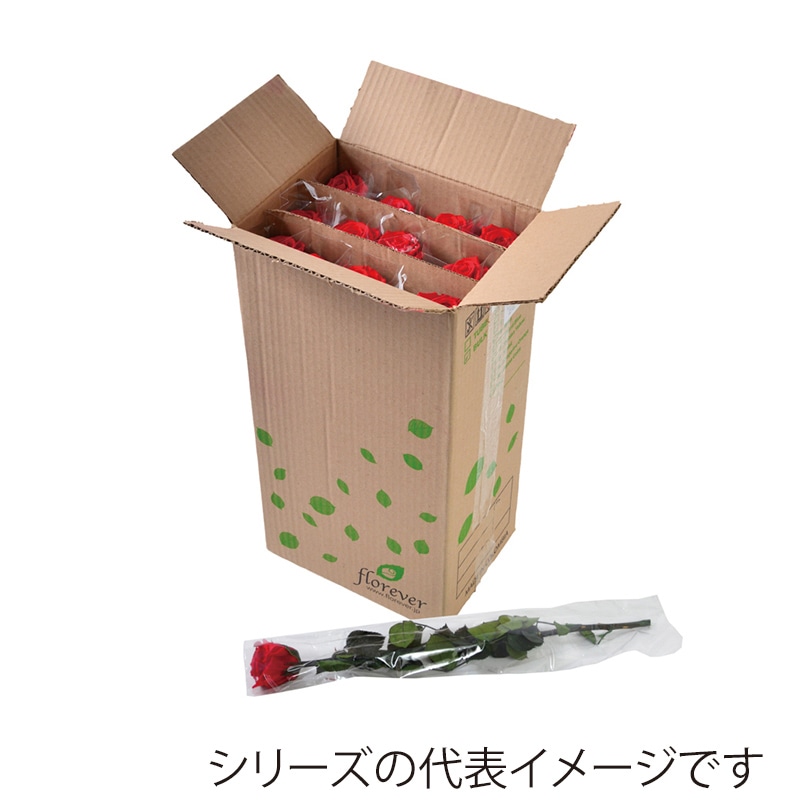 フロールエバー プリザーブドフラワー　スタンダードローズ　ステム付 スリーブ入り　ゴールデンイエロー FL013-17 12本/箱（ご注文単位1箱）【直送品】