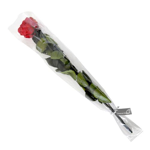 フロールエバー プリザーブドローズ グレースローズ ステム付 チェリーレッド FL0921-05 1本（ご注文単位1本）【直送品】