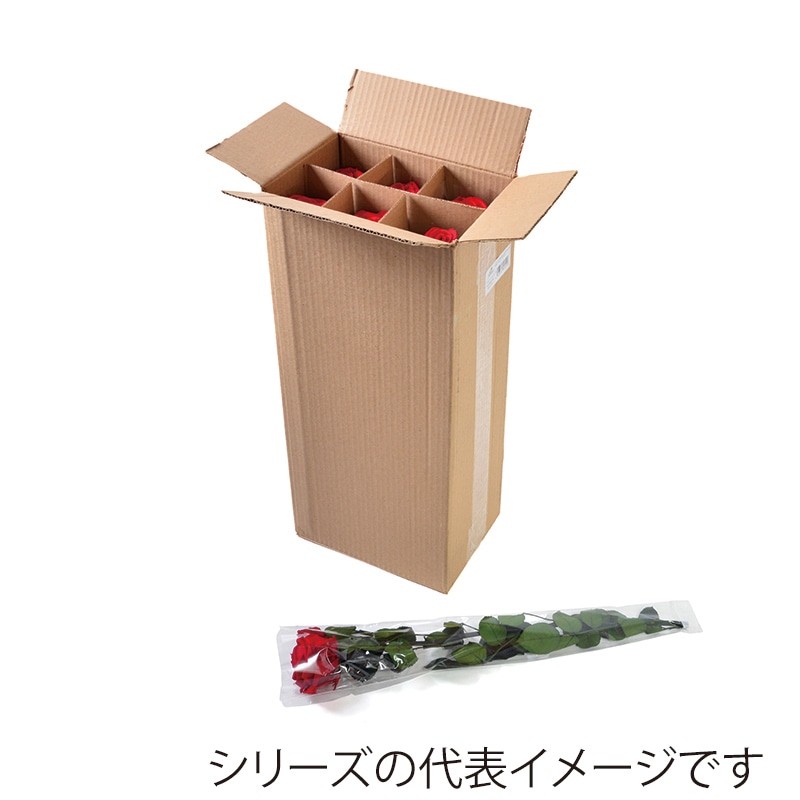 フロールエバー プリザーブドフラワー　プレミアムローズ　ステム付 スリーブ入り　パールホワイ FL095-01 6本/箱（ご注文単位1箱）【直送品】