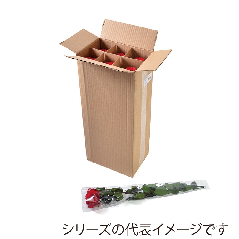 フロールエバー プリザーブドフラワー　プレミアムローズ　ステム付 スリーブ入り　ワイン FL095-10 6本/箱（ご注文単位1箱）【直送品】