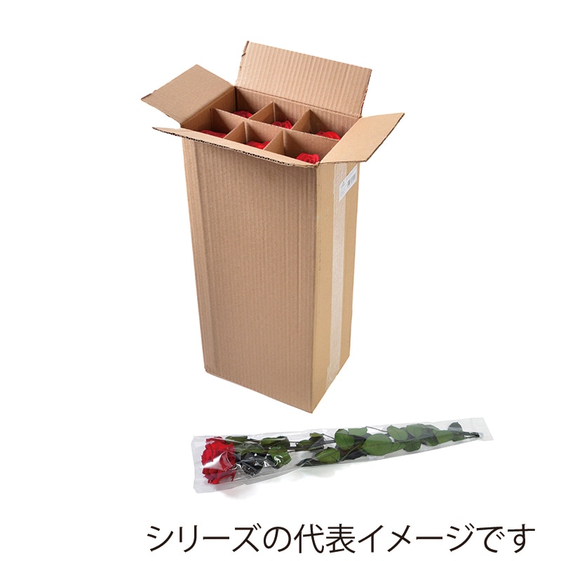 フロールエバー プリザーブドフラワー　プレミアムローズ　ステム付 スリーブ入り　タンジェリンオレンジ FL095-29 6本/箱（ご注文単位1箱）【直送品】