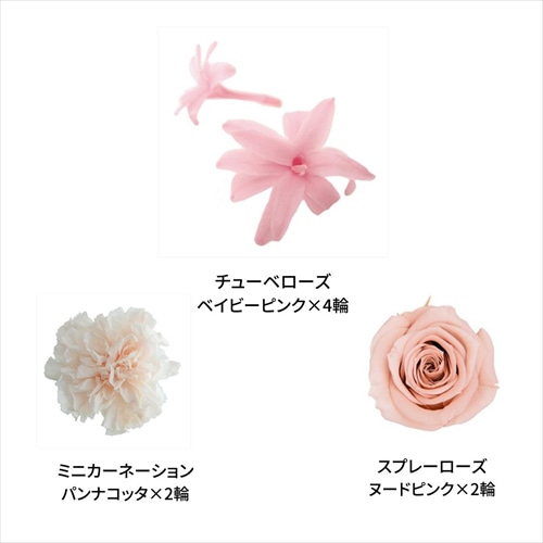 フロールエバー プリザーブドフラワー ミックスパレットTR ピンクミックス FLMP0002-144 1箱（ご注文単位1箱）【直送品】