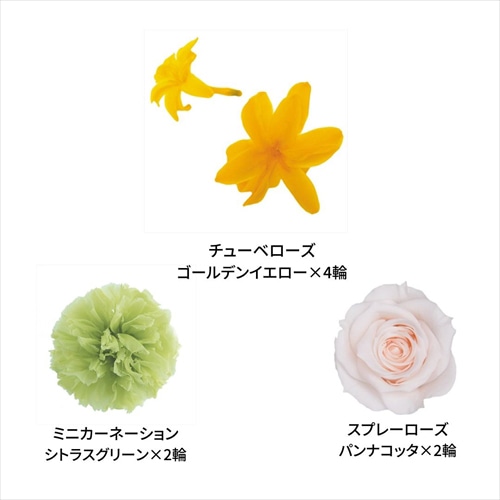 フロールエバー プリザーブドフラワー ミックスパレットTR ビタミンミックス FLMP0002-146 1箱（ご注文単位1箱）【直送品】