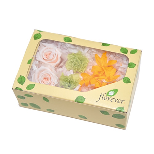 フロールエバー プリザーブドフラワー ミックスパレットTR ビタミンミックス FLMP0002-146 1箱(ご注文単位1箱)【直送品】