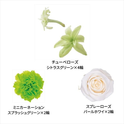 フロールエバー プリザーブドフラワー ミックスパレットTR ホワイトGミックス FLMP0002-147 1箱（ご注文単位1箱）【直送品】