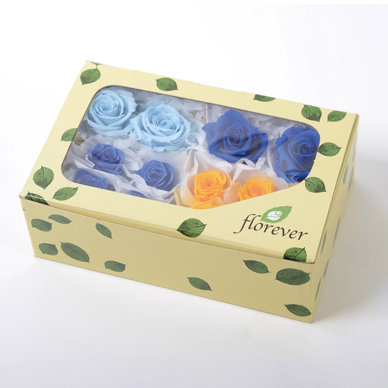 フロールエバー プリザーブドフラワー　ローズパレット コスモ FLP07041-133 1箱（ご注文単位1箱）【直送品】