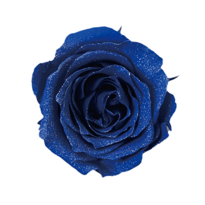 フロールエバー プリザーブドフラワー ローズパレット コスモ FLP07041-133 1箱(ご注文単位1箱)【直送品】