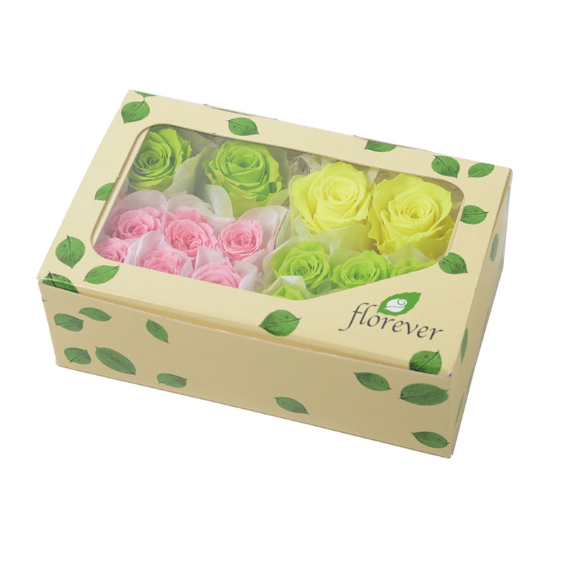 フロールエバー プリザーブドフラワー　ローズパレット ファンシー FLP07041-134 1箱（ご注文単位1箱）【直送品】