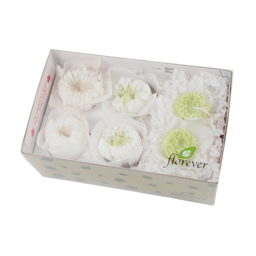 フロールエバー プリザーブドフラワー マムパレット ホワイトGミックス FLP45144-138 1箱(ご注文単位1箱)【直送品】