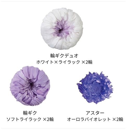 フロールエバー プリザーブドフラワー　マムパレット ライラックミックス FLP45144-140 1箱（ご注文単位1箱）【直送品】