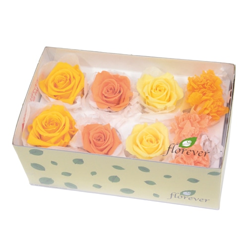 フロールエバー プリザーブドフラワー　ミックスパレット ビタミンミックス FLMP0001-142 1箱（ご注文単位1箱）【直送品】