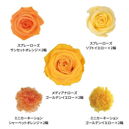 フロールエバー プリザーブドフラワー　ミックスパレット ビタミンミックス FLMP0001-142 1箱（ご注文単位1箱）【直送品】