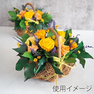 フロールエバー プリザーブドフラワー　ミックスパレット ビタミンミックス FLMP0001-142 1箱（ご注文単位1箱）【直送品】