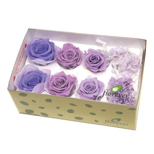 フロールエバー プリザーブドフラワー　ミックスパレト ラベンダーミックス FLMP0001-143 1箱（ご注文単位1箱）【直送品】