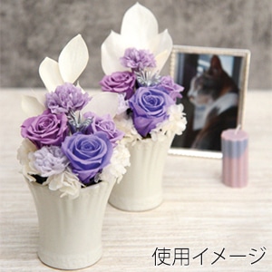 フロールエバー プリザーブドフラワー ミックスパレト ラベンダーミックス FLMP0001-143 1箱(ご注文単位1箱)【直送品】