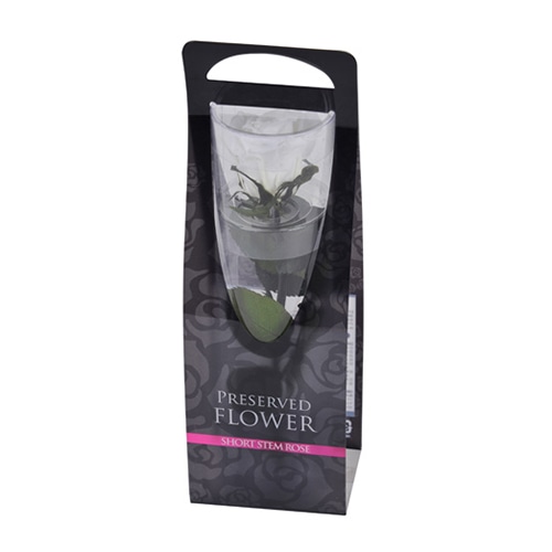 フロールエバー プリザーブドフラワー　ショートステムローズ パールホワイト FL072-01 1本（ご注文単位1本）【直送品】