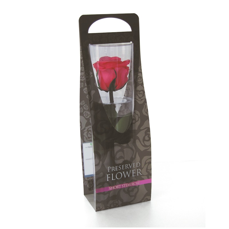 フロールエバー プリザーブドフラワー　ショートステムローズ ホットピンク FL072-08 1本（ご注文単位1本）【直送品】
