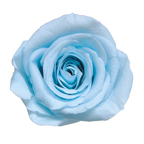 フロールエバー プリザーブドフラワー　ショートステムローズ パウダーブルー FL072-13 1本（ご注文単位1本）【直送品】