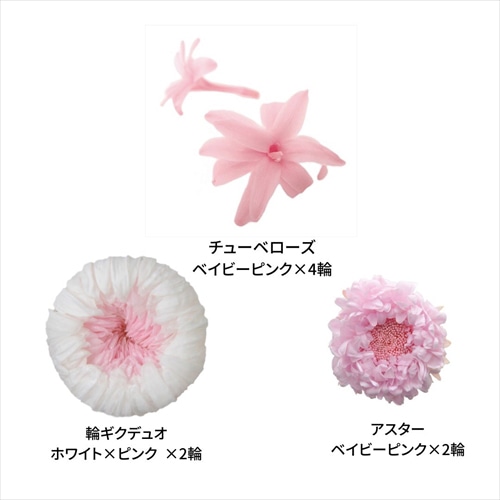 フロールエバー プリザーブドフラワー マムパレットTR ピンクミックス FLP44533-148 1箱（ご注文単位1箱）【直送品】