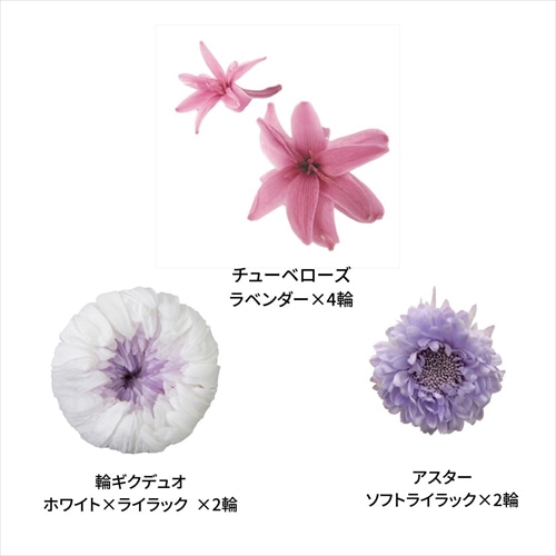 フロールエバー プリザーブドフラワー マムパレットTR ライラックミックス FLP44533-149 1箱（ご注文単位1箱）【直送品】