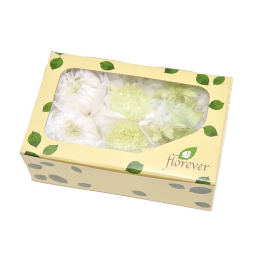 フロールエバー プリザーブドフラワー マムパレットTR グリーンミックス FLP44533-150 1箱(ご注文単位1箱)【直送品】