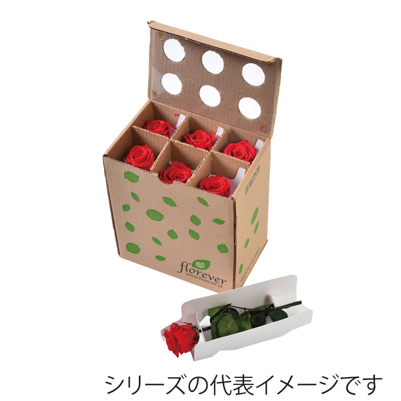 フロールエバー プリザーブドフラワー　ショートステムローズ スリーブ入り　ホットピンク FL073-08 6本/箱（ご注文単位1箱）【直送品】