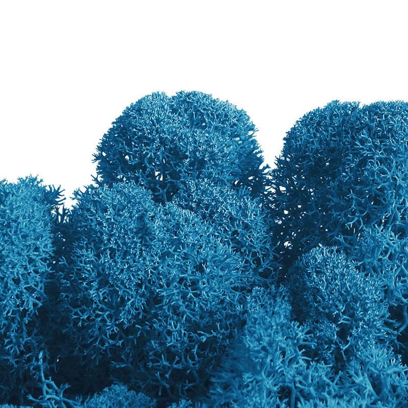 フロールエバー プリザーブドグリーン　ノルディックモス　50g アクアマリン FL820-920 1袋（ご注文単位1袋）【直送品】