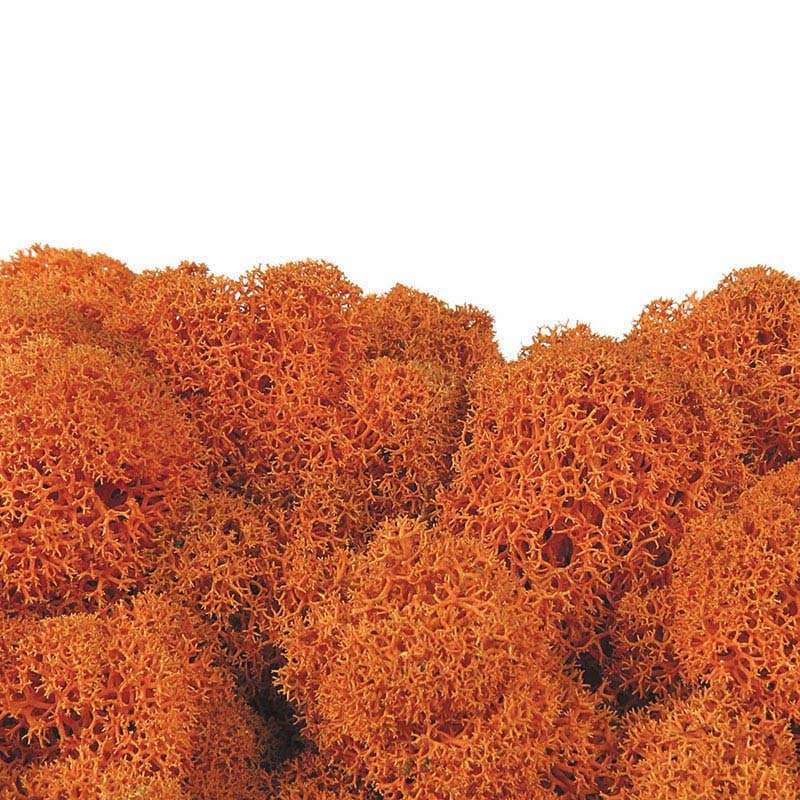 フロールエバー プリザーブドグリーン　ノルディックモス　10kg バルク　オレンジ FL822-820 1箱（ご注文単位1箱）【直送品】