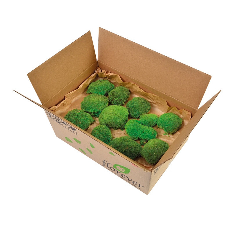 フロールエバー プリザーブドグリーン ポールモス バルク グリーン FL825-800 1箱(ご注文単位1箱)【直送品】