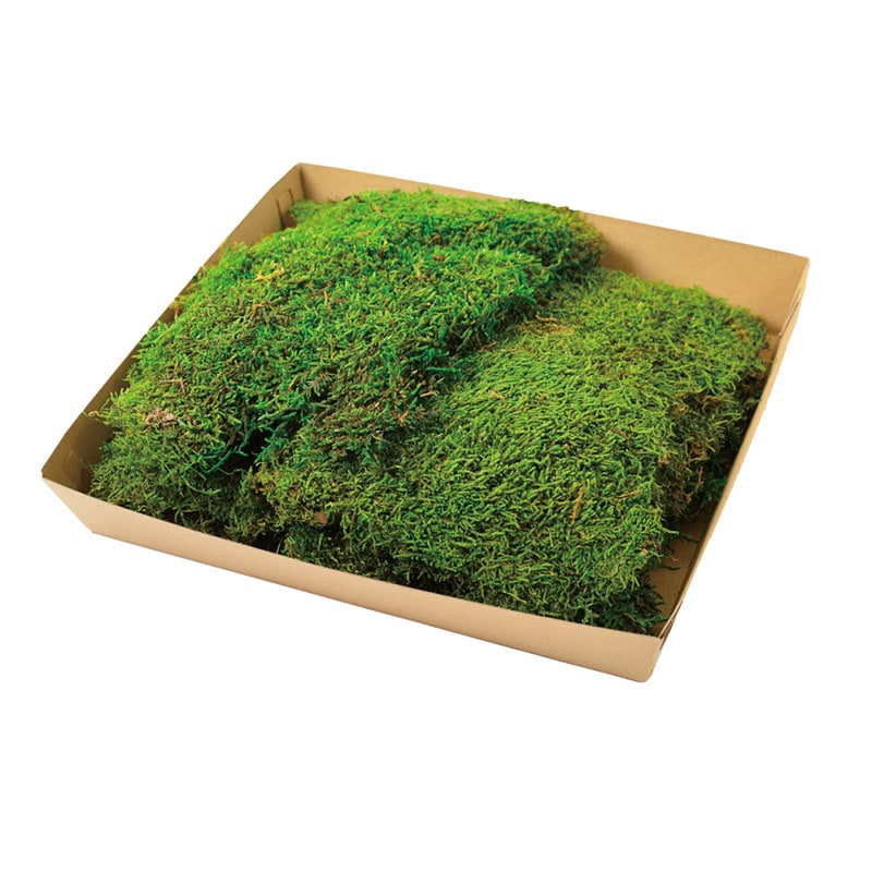 フロールエバー プリザーブドグリーン フラットモス グリーン FL826-800 1袋(ご注文単位1袋)【直送品】