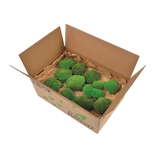フロールエバー プリザーブドフラワー ポールモス バルク グリーン FL8251-800 1箱（ご注文単位1箱）【直送品】