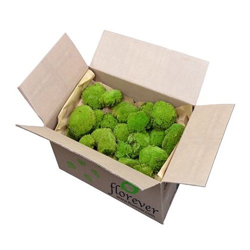 フロールエバー プリザーブドフラワー ポールモスFR バルク ナチュラルグリーン FL825FR-720 1箱（ご注文単位1箱）【直送品】