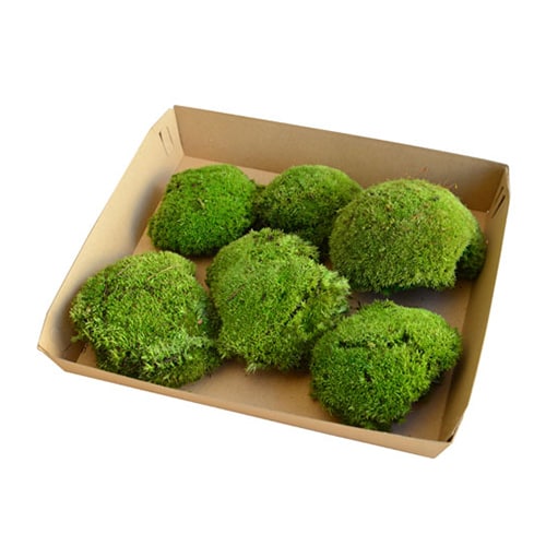 フロールエバー プリザーブドグリーン ポールモス FR 大袋 ナチュラルグリーン FL824FR-720 1外袋/袋（ご注文単位1袋）【直送品】