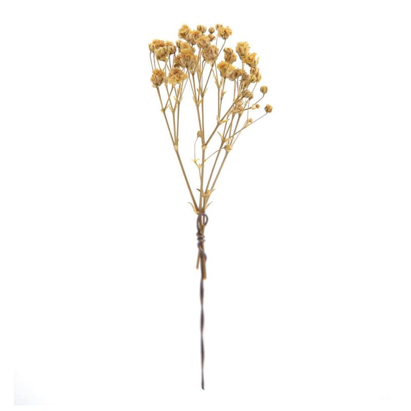 フロールエバー プリザーブドフラワー　プレタポルテ　カスミソウ イエロー FLPP8301-810 30本/袋（ご注文単位1袋）【直送品】