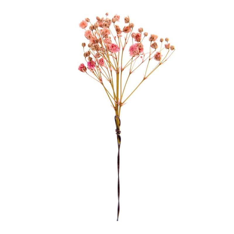 フロールエバー プリザーブドフラワー　プレタポルテ　カスミソウ ピンク FLPP8301-860 30本/袋（ご注文単位1袋）【直送品】