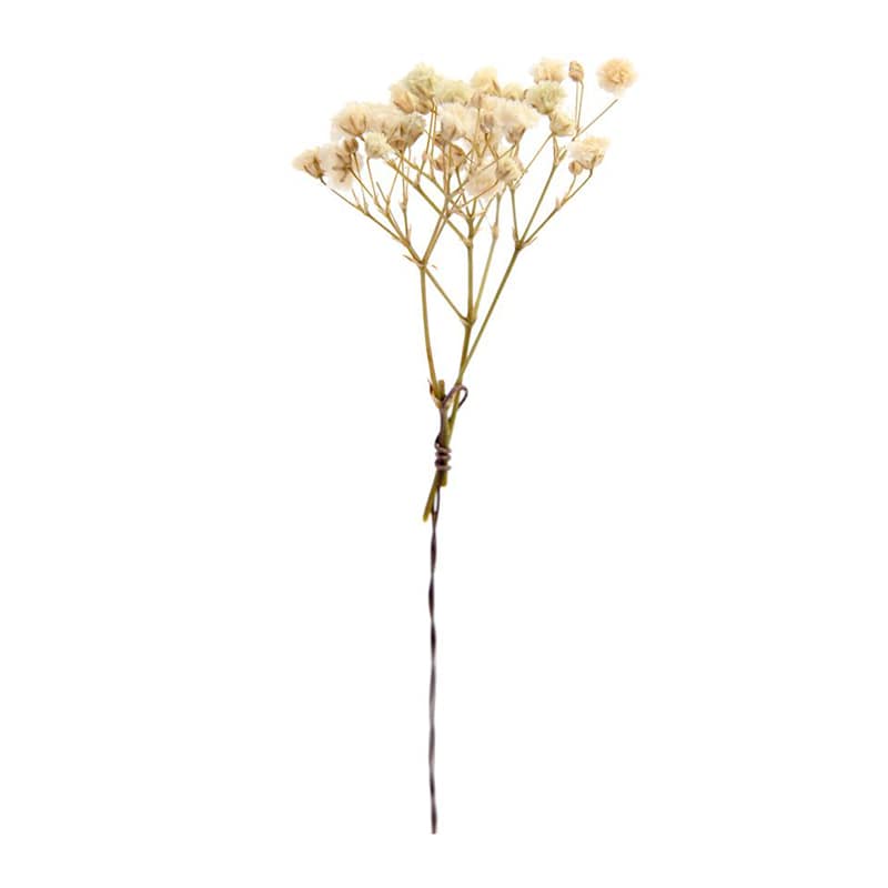 フロールエバー プリザーブドフラワー　プレタポルテ　カスミソウ ナチュラル FLPP8301-910 30本/袋（ご注文単位1袋）【直送品】