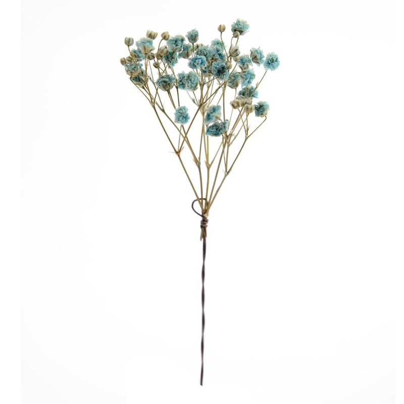 フロールエバー プリザーブドフラワー　プレタポルテ　カスミソウ ライトブルー FLPP8301-940 30本/袋（ご注文単位1袋）【直送品】